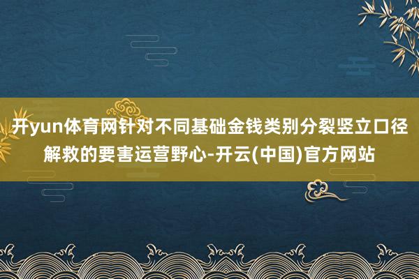 开yun体育网针对不同基础金钱类别分裂竖立口径解救的要害运营野心-开云(中国)官方网站