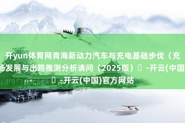 开yun体育网青海新动力汽车与充电基础步伐（充电桩）商场发展与出路推测分析请问（2025版）​-开云(中国)官方网站