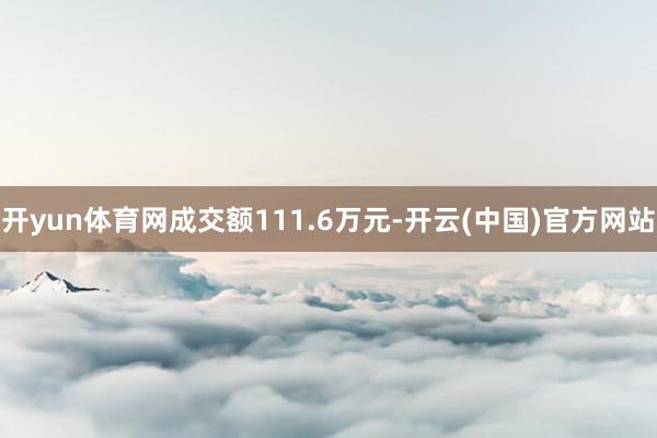 开yun体育网成交额111.6万元-开云(中国)官方网站