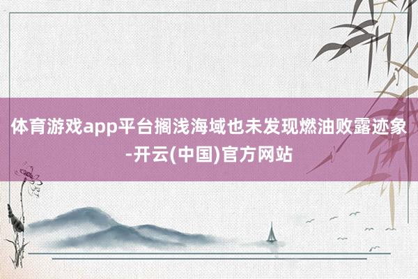 体育游戏app平台搁浅海域也未发现燃油败露迹象-开云(中国)官方网站